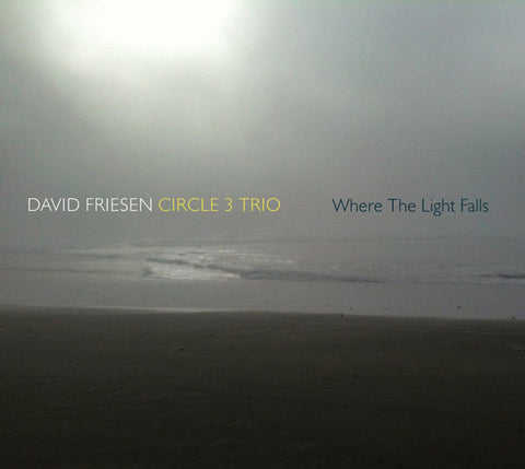 David Friesen Circle 3 Trio - Where The Light Falls