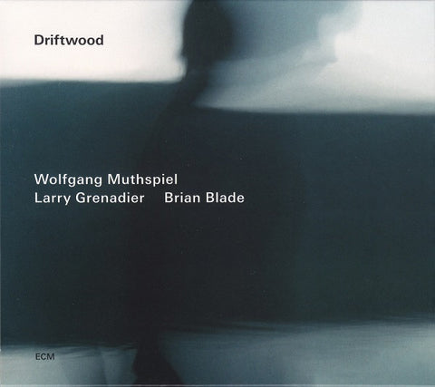 Wolfgang Muthspiel / Larry Grenadier / Brian Blade - Driftwood