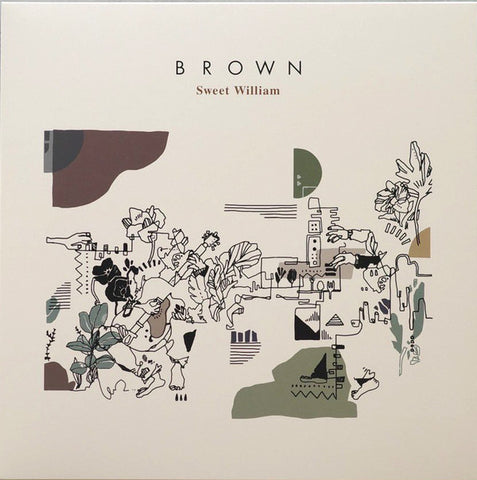Sweet William - Brown