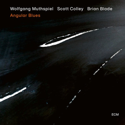 Wolfgang Muthspiel, Scott Colley, Brian Blade - Angular Blues