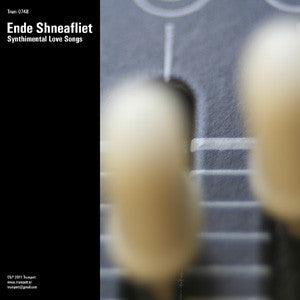Ende Shneafliet - Synthimental Love Songs