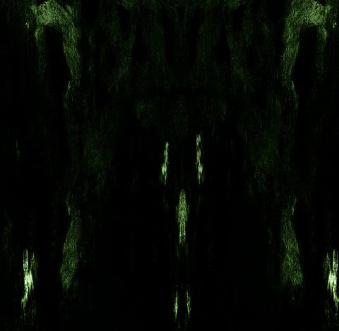 Impetuous Ritual, - Unholy Congregation Of Hypocritical Ambivalence