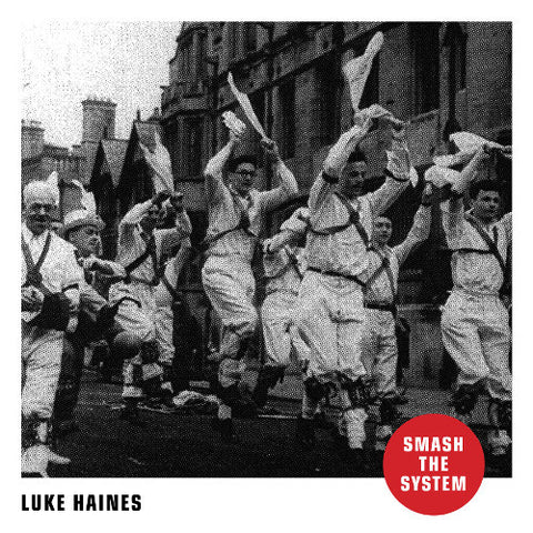 Luke Haines - Smash The System