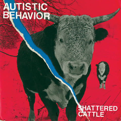 Autistic Behavior - Shattered Cattle