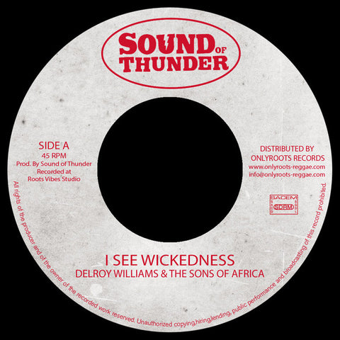 Delroy Williams & The Sons Of Africa / Mr Haze & The Sons Of Africa - I See Wickedness