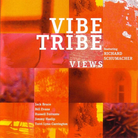 Richard S. & The Vibe Tribe - Views