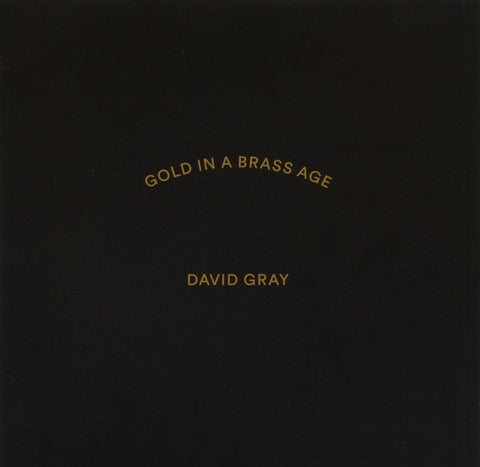 David Gray - Gold In A Brass Age