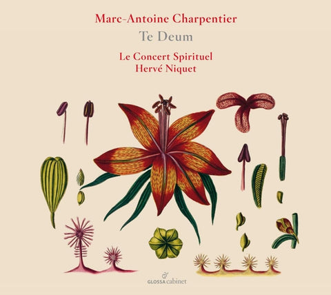 Marc-Antoine Charpentier – Le Concert Spirituel, Hervé Niquet - Te Deum