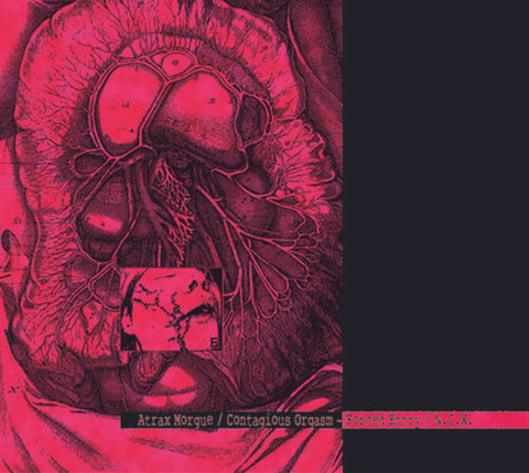 Atrax Morgue / Contagious Orgasm - Forced Entry / N.C.W.