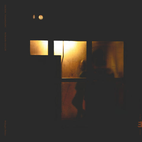 Sachal Vasandani, Romain Collin - Midnight Shelter