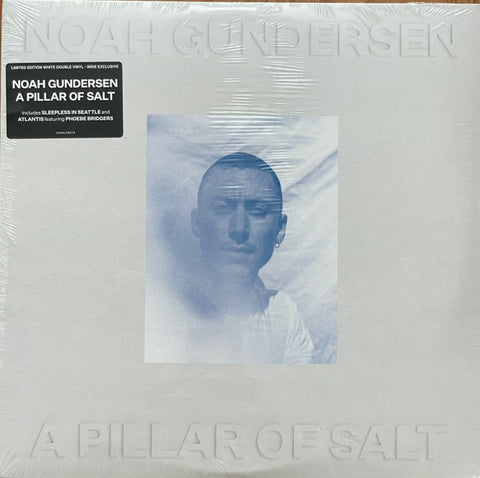 Noah Gundersen - A Pillar of Salt