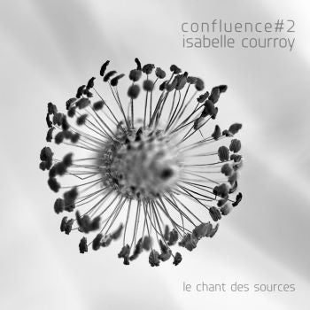Isabelle Courroy - Confluence #2 - Le Chant Des Sources