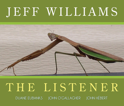 Jeff Williams - The Listener
