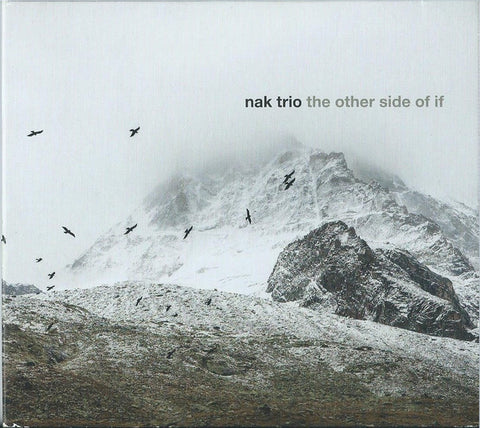 NAK Trio - The Other Side Of If