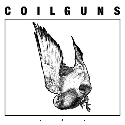 Coilguns - A&B 2011-2012
