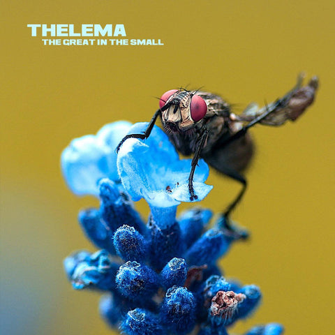 Thelema - The Great In The Small