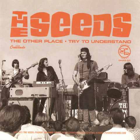 The Seeds - The Other Place / Try To Understand