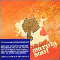 Various, - Marula Soul Vol. 2